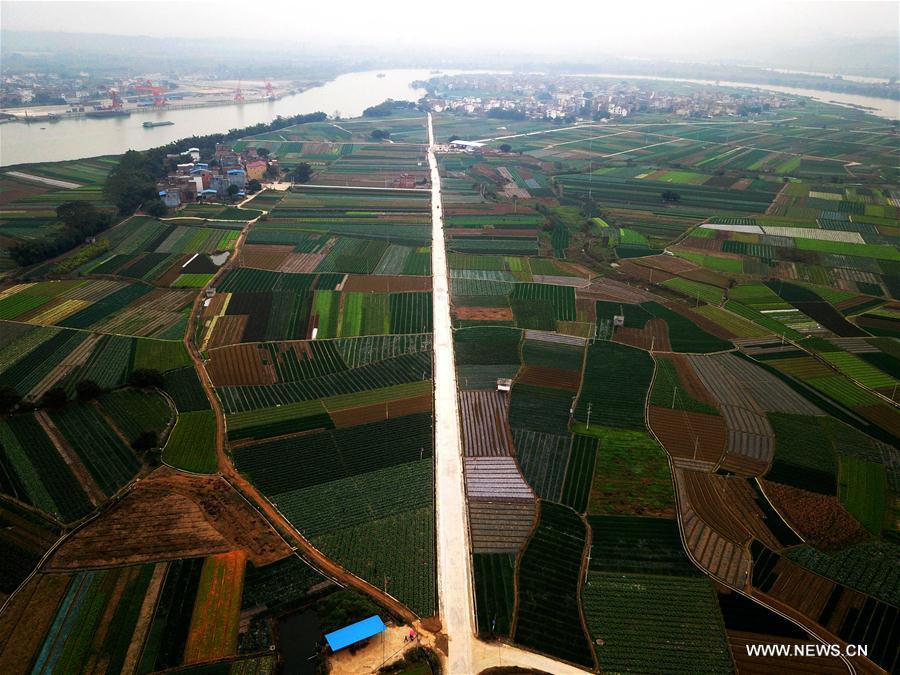 CHINA-GUANGXI-BAISE-SCENERY (CN)