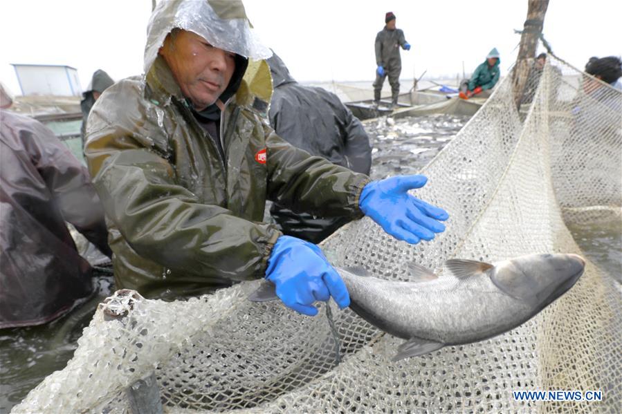 #CHINA-JIANGSU-XUYI-FISHING (CN)