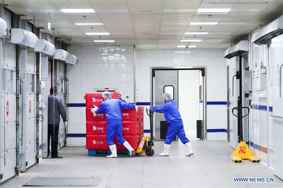 CHINA-HIGH-SPEED TRAIN-SET MEALS-MAKING (CN)