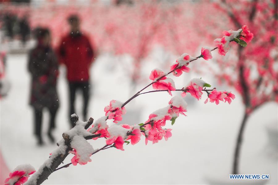 CHINA-JINLIN-HEAVY SNOW(CN)