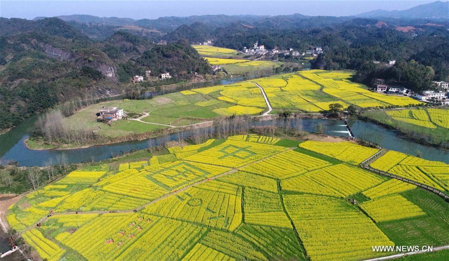 CHINA-JIANGXI-PINGXIANG-COLE FLOWERS (CN)