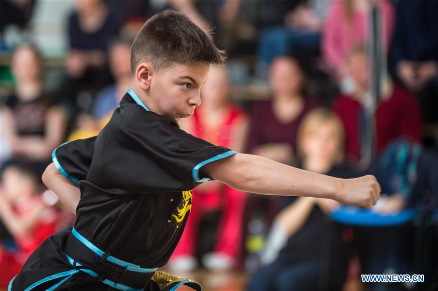 (SP)LITHUANIA-VILNIUS-WUSHU-LITHUANIA OPEN