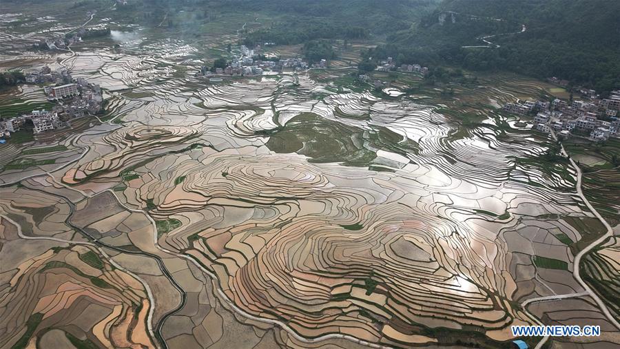 #CHINA-GUANGXI-TERRACED FIELDS (CN)