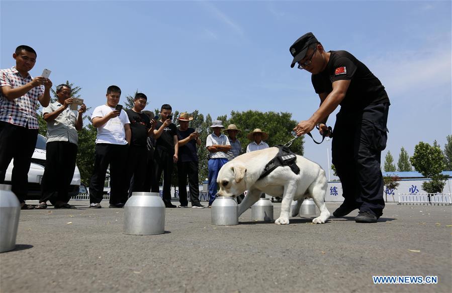 #CHINA-SHANDONG-LINYI-SNIFFER DOG-SHOW (CN) 