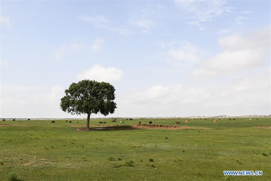 CHINA-INNER MONGOLIA-XILINGOL-GRASSLAND (CN)