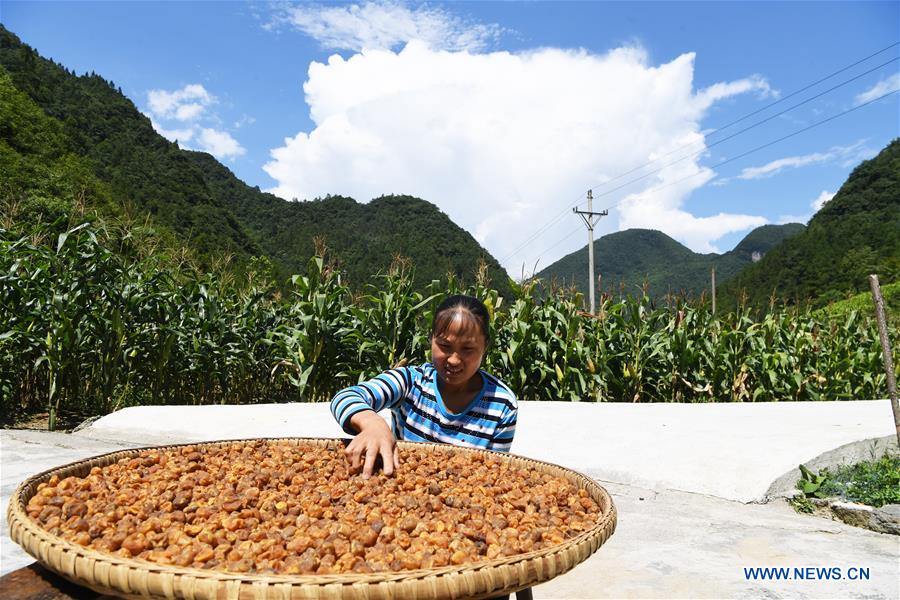 CHINA-CHONGQING-DISABLED FEMALE FARMER (CN)