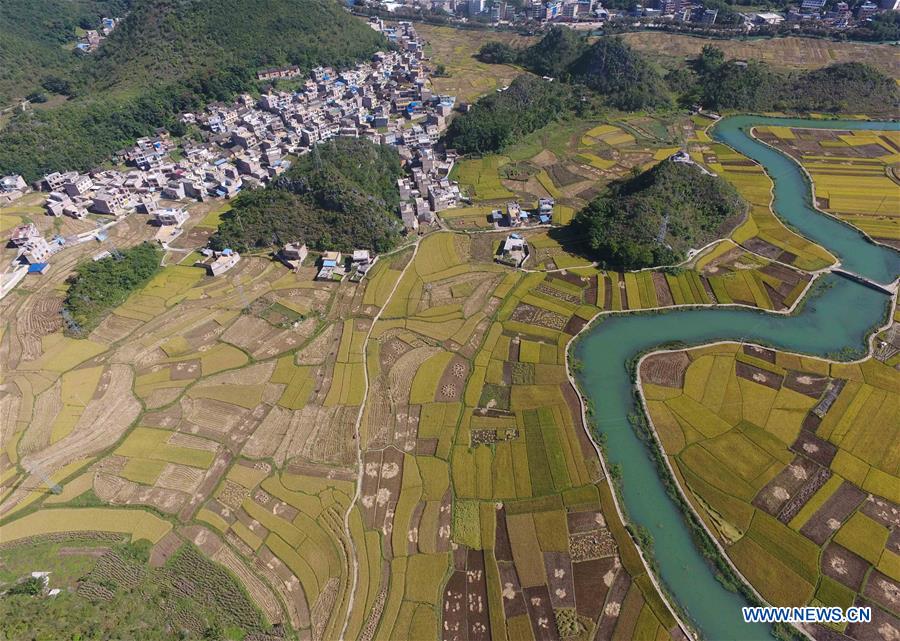 CHINA-YUNNAN-GUANGNAN-RICE FIELDS-HARVEST (CN)