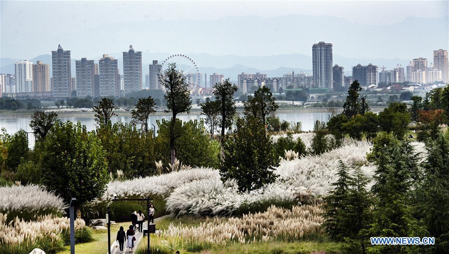 CHINA-SHAANXI-HANJIANG RIVER-WETLAND (CN)