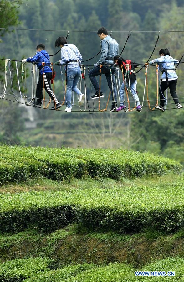 #CHINA-HUBEI-XUAN'EN-TEA GARDEN (CN)