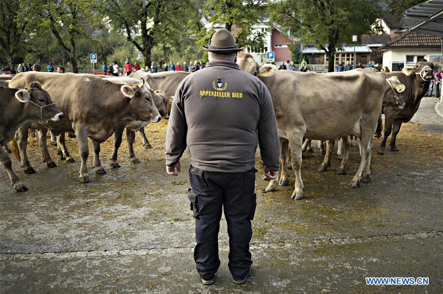 SWITZERLAND-APPENZELL-CATTLE SHOW