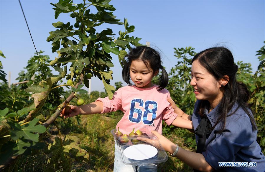 CHINA-ANHUI-ECOLOGICAL AGRICULTURE (CN)