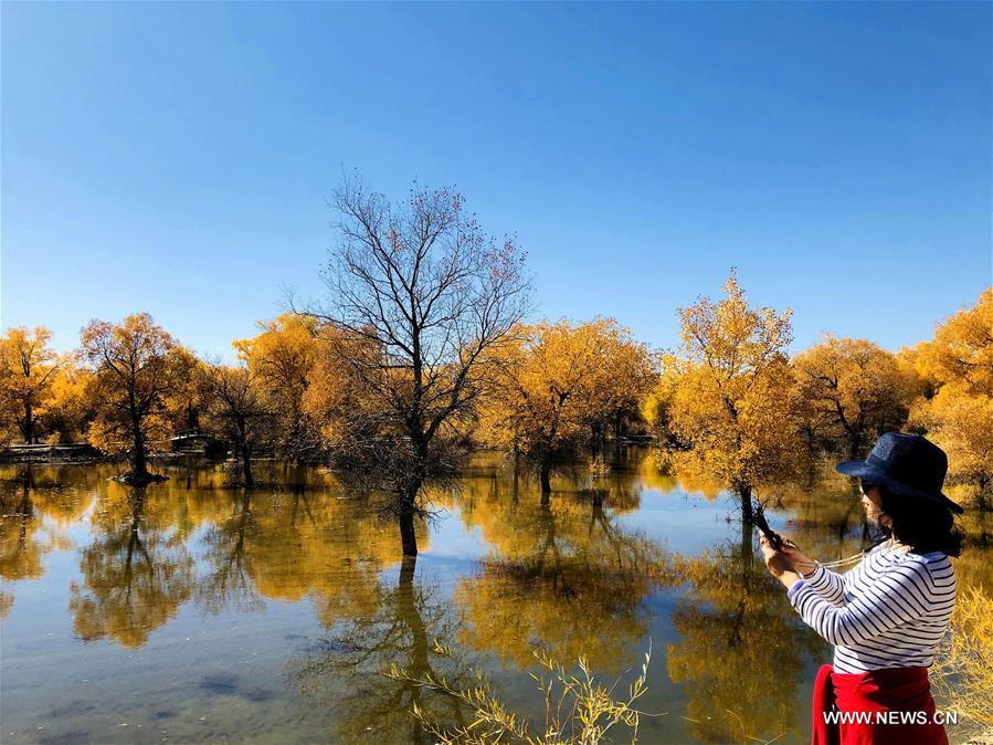 #CHINA-JIUQUAN-POPULUS EUPHRATICA-AUTUMN SCENERY (CN)