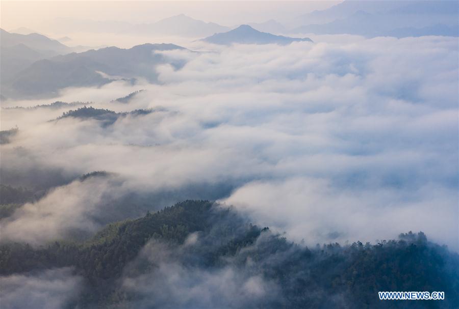 #CHINA-ANHUI-DABIESHAN MOUNTAIN-SCENERY (CN)