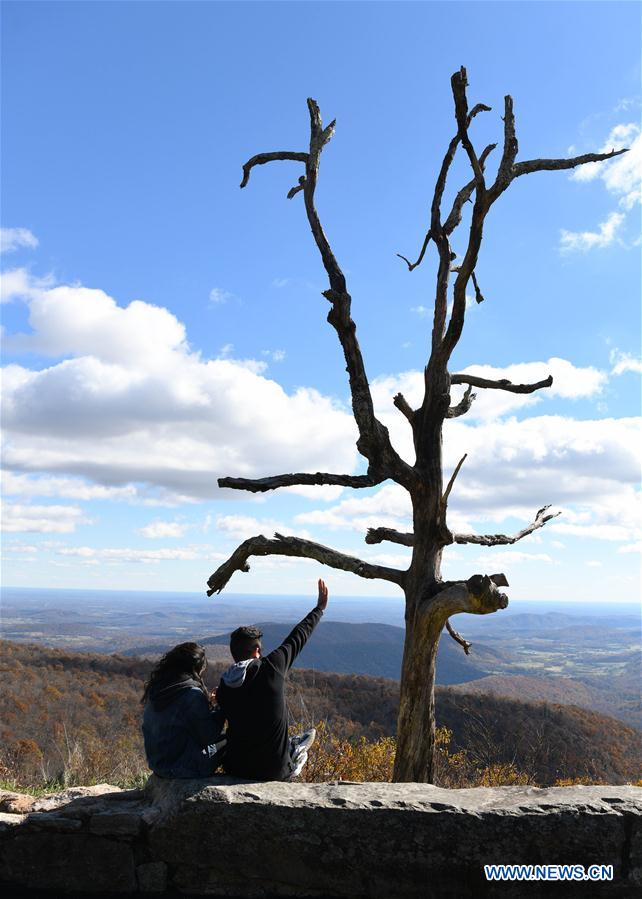 U.S.-VIRGINIA-SHENANDOAH NATIONAL PARK-AUTUMN VIEWS