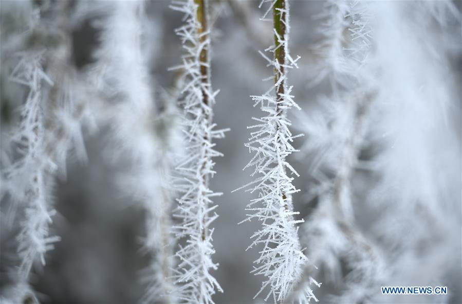 #CHINA-WINTER-RIME (CN)