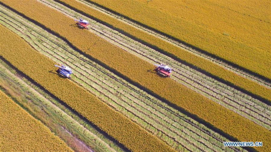 CHINA-MECHANIZED AGRICULTURE (CN)