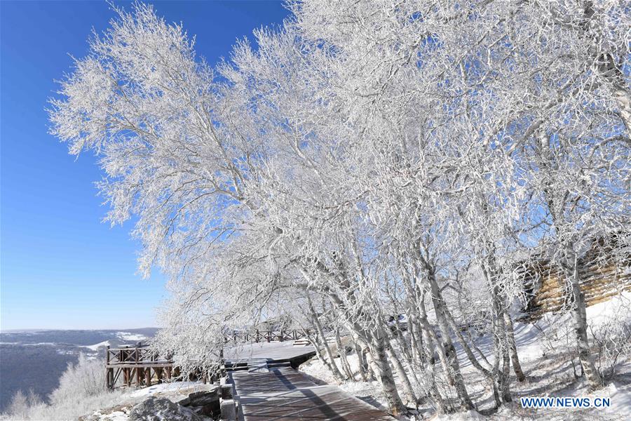 CHINA-INNER MONGOLIA-SNOW SCENERY (CN)