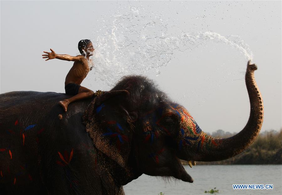 XINHUA-PICTURES OF THE YEAR 2018