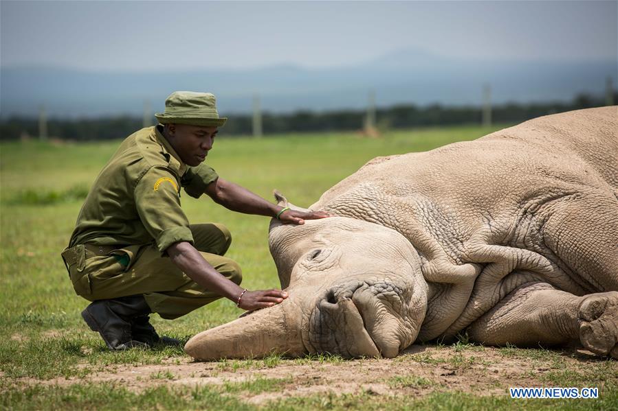 XINHUA-PICTURES OF THE YEAR 2018