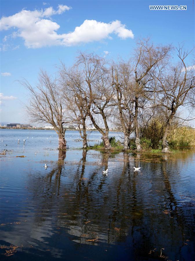 CHINA-KUNMING-DIANCHI LAKE-WATER QUALITY (CN)