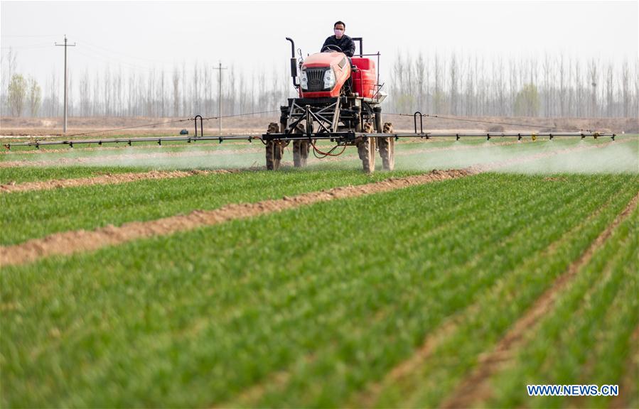 CHINA-SPRING-FARM WORK (CN)