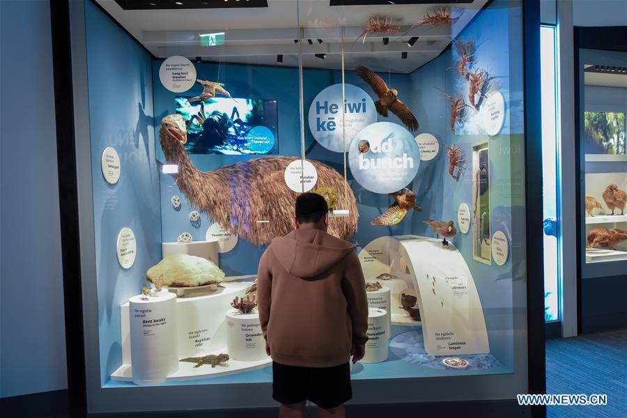 NEW ZEALAND-WELLINGTON-NATIONAL MUSEUM-NATURE EXHIBITION-REOPEN