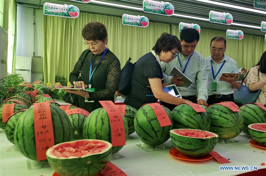 CHINA-BEIJING-WATERMELON FESTIVAL(CN)