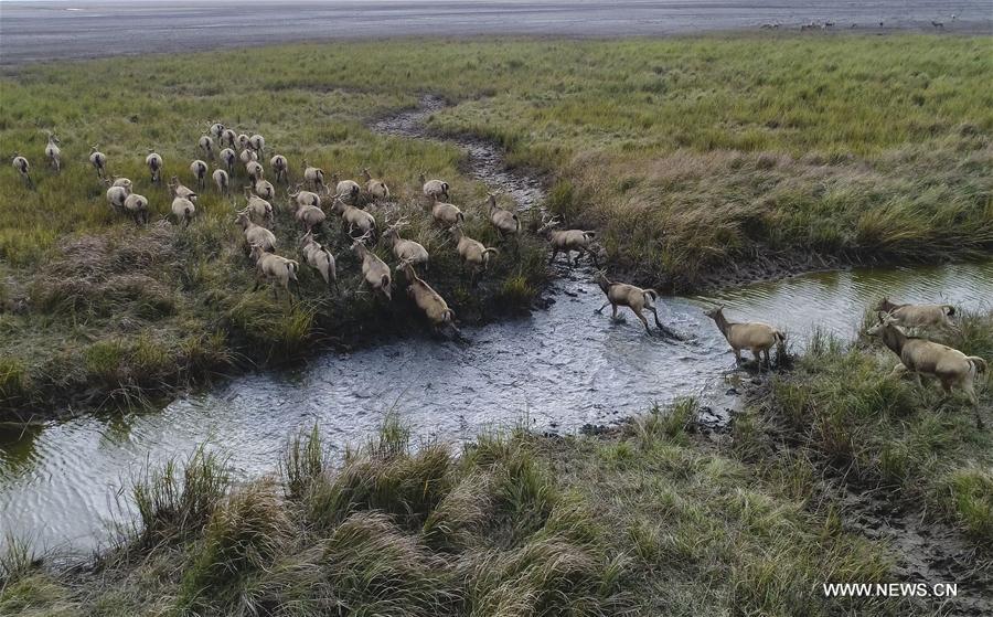 CHINA-MIGRATORY BIRD SANCTUARIES-UNESCO-WORLD HERITAGE LIST (CN)