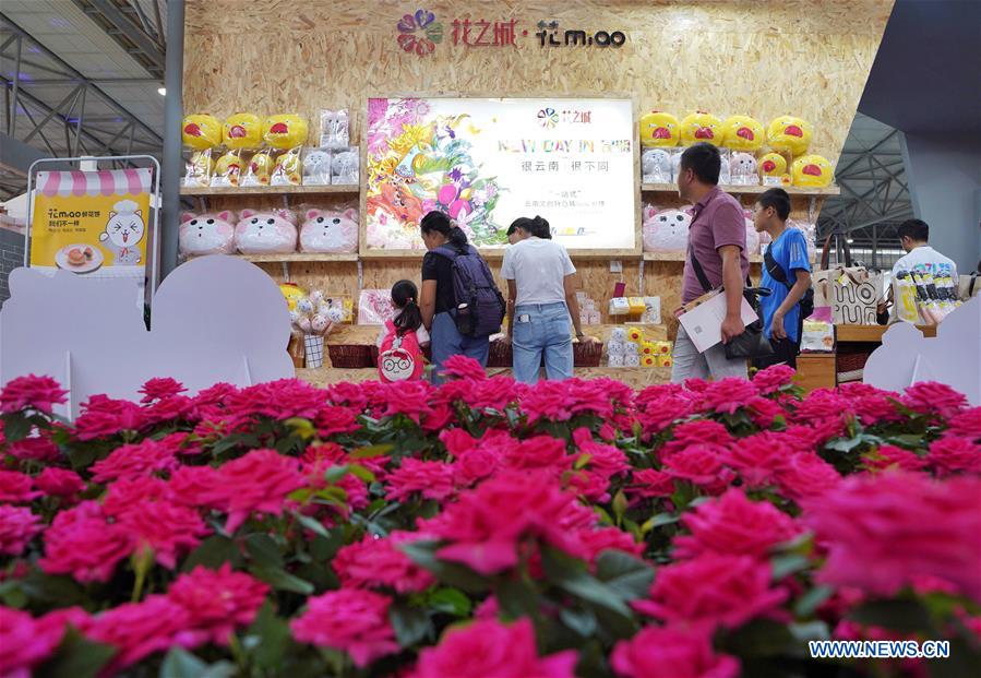 CHINA-YUNNAN-KUNMING-CULTURE INDUSTRIES EXPO (CN)