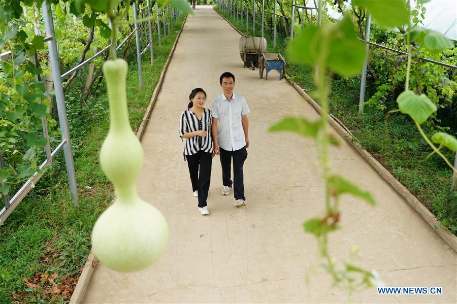 CHINA-SHAANXI-XI'AN-GRAPE PLANTING (CN)