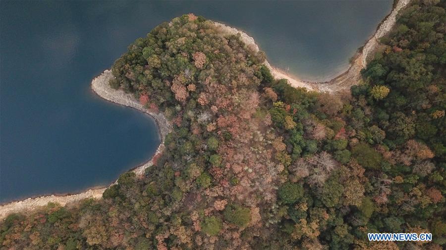 CHINA-ANHUI-TAIPING LAKE (CN)