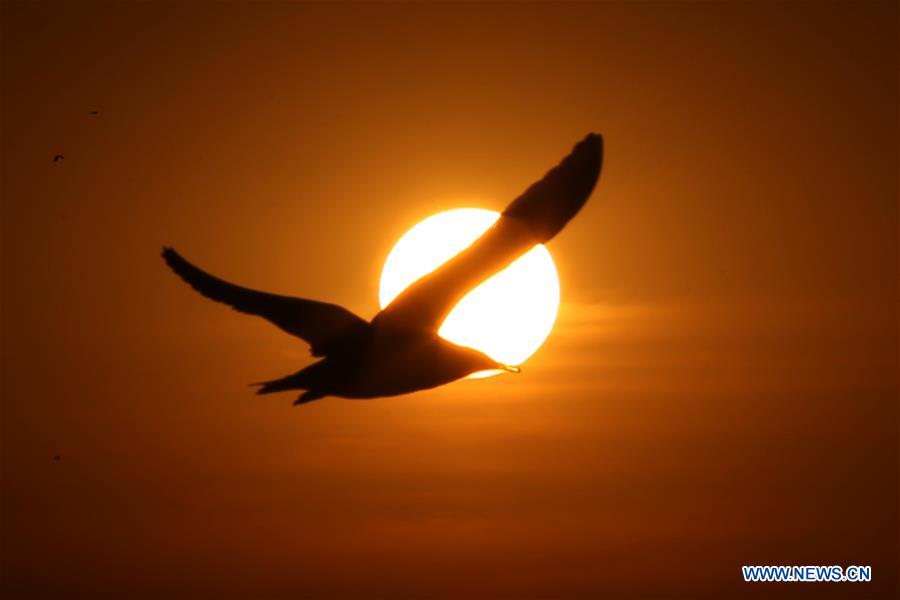 MYANMAR-YANGON-SUNSET-SCENERY