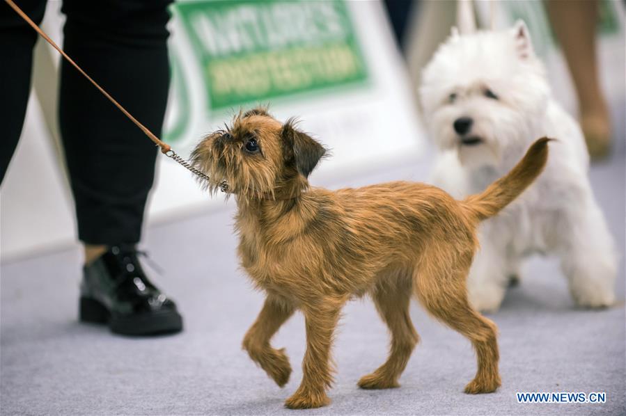 LITHUANIA-VILNIUS-DOG SHOW