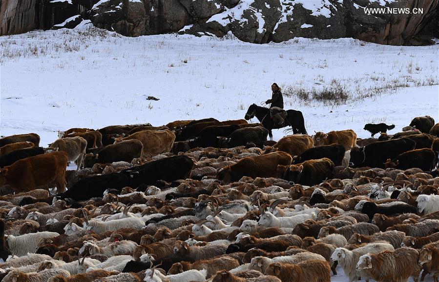 CHINA-XINJIANG-ANIMAL HUSBANDRY-FESTIVAL (CN)