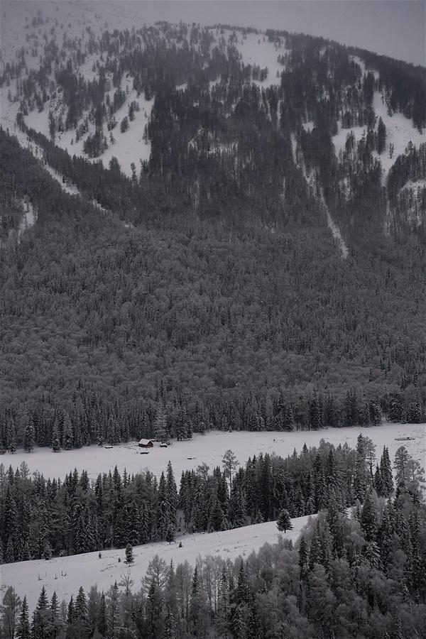 CHINA-XINJIANG-KANAS-WINTER SCENERY (CN)