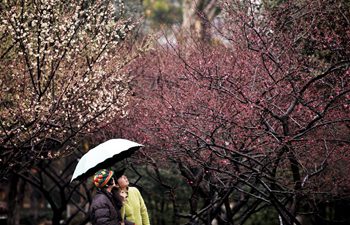 Flowers in the rain