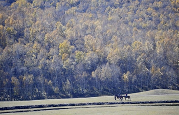 Autumn scenery in Chengde, N China's Hebei