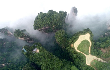 Scenery of Wulingyuan Scenic Area in Zhangjiajie