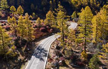 Autumn scenery of Shuiwa Township in China's Sichuan