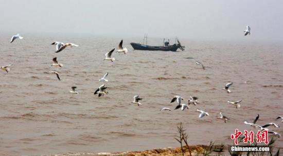 资料图：渤海湾畔。王占军 摄