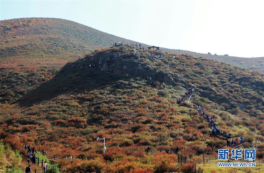 （城市绿道建设·图文互动）（2）青城登山步道：踏遍青山享美景 生态绿道助脱贫