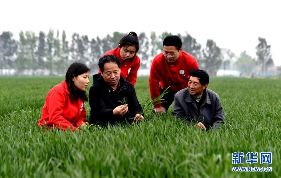 （爱国情 奋斗者·图文互动）（1） “解民生之多艰，育天下之英才”——中国农大师生扎根田野书写奉献之歌