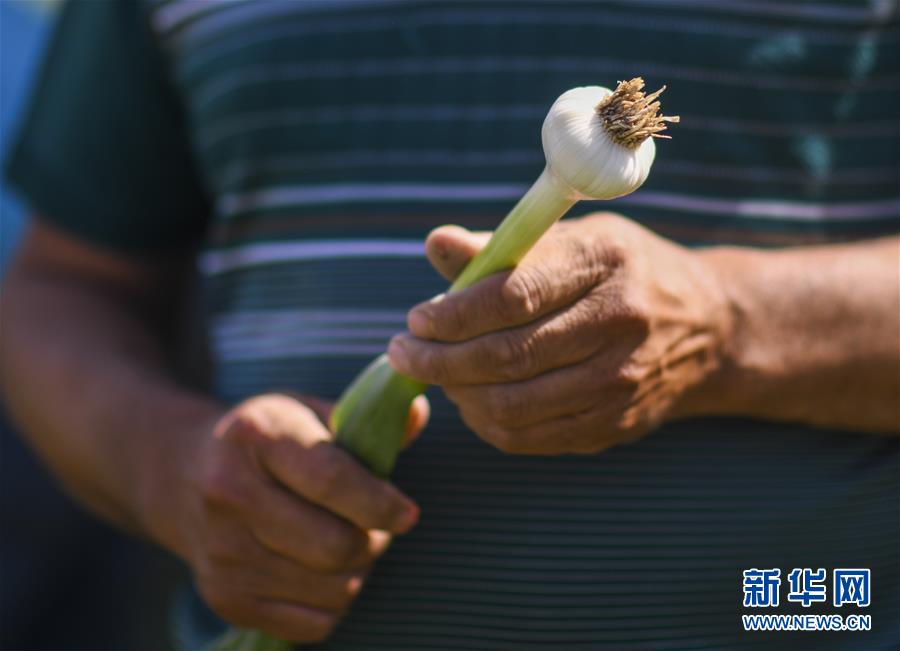 （决战决胜脱贫攻坚·图文互动）（3）记者手记：寻访昆仑“桃花源”的“祛病”良方