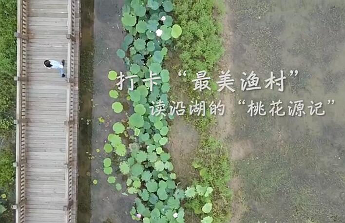 打卡“最美渔村” 读沿湖“桃花源记”