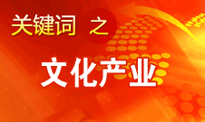 孙志军：把深化文化体制改革简单理解为市场化是误解